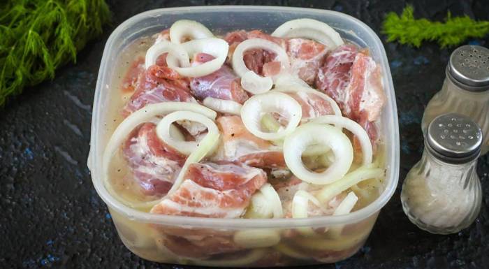 Мясо с луком и уксусом
