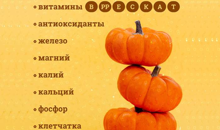 Полезный состав тыквы