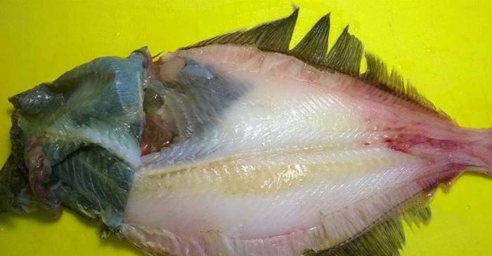 Шкурка и мясо камбалы
