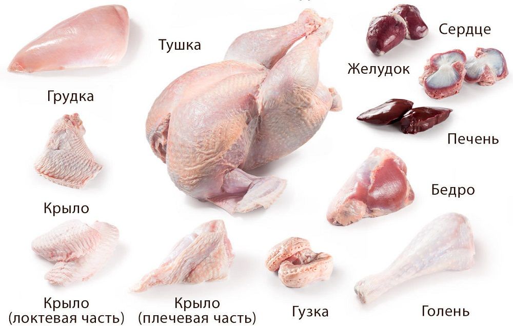 Схема разруба индейки