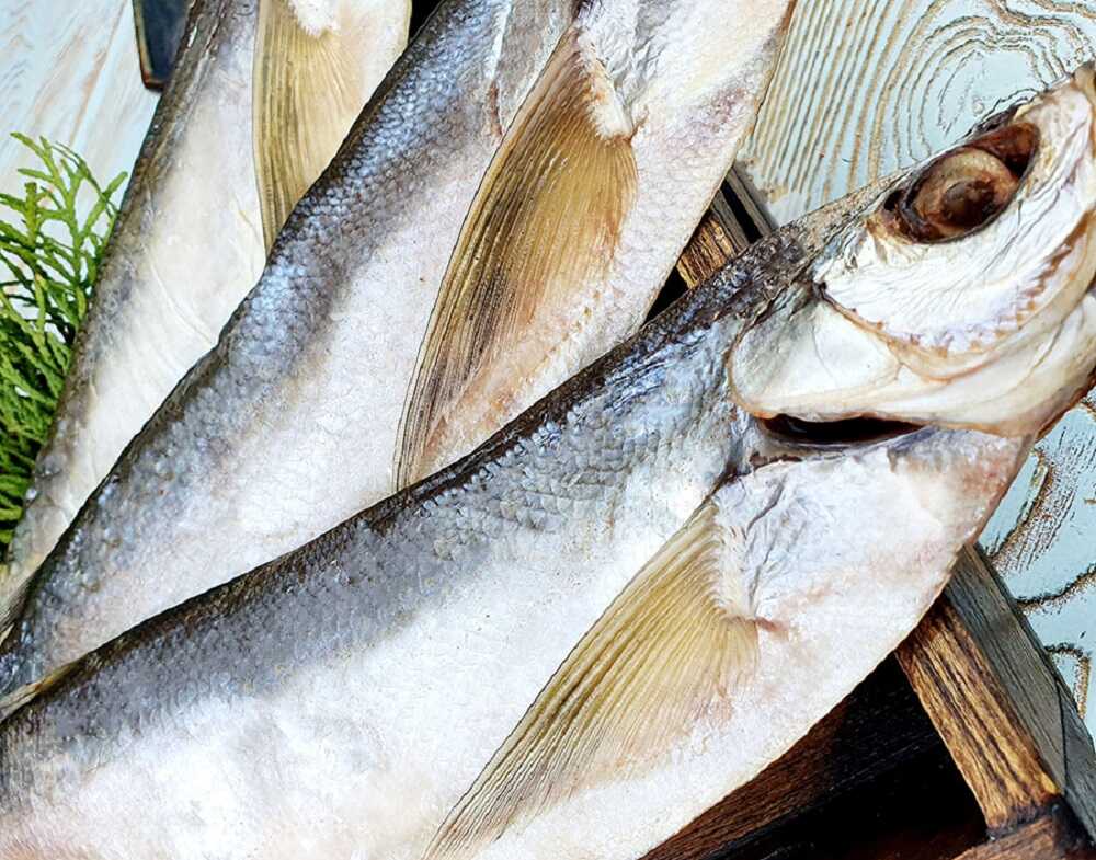 Соленая чехонь