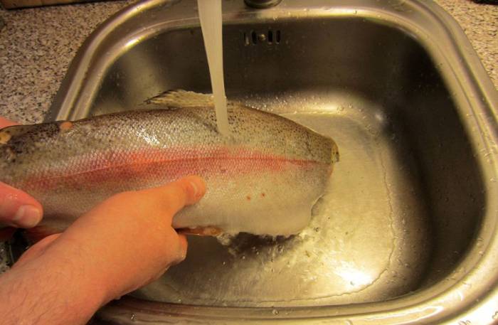 Форель и вода