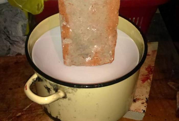 Гнёт и косуля