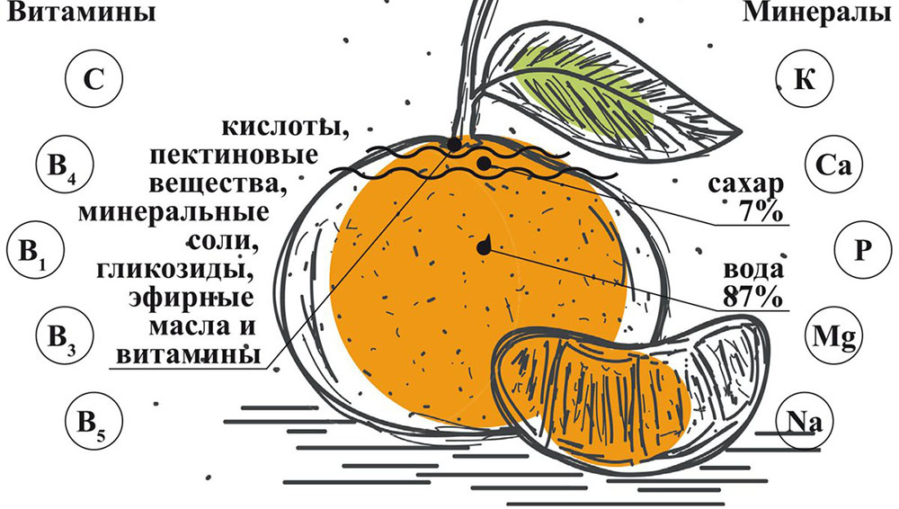 Мандарин и витамины