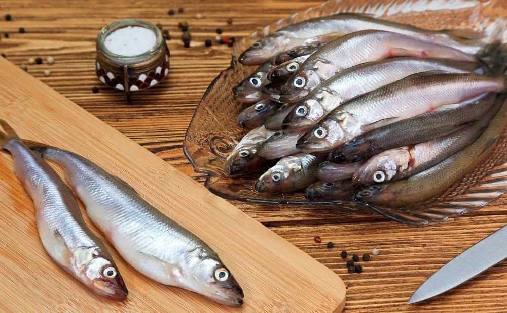 Морская малоротая корюшка