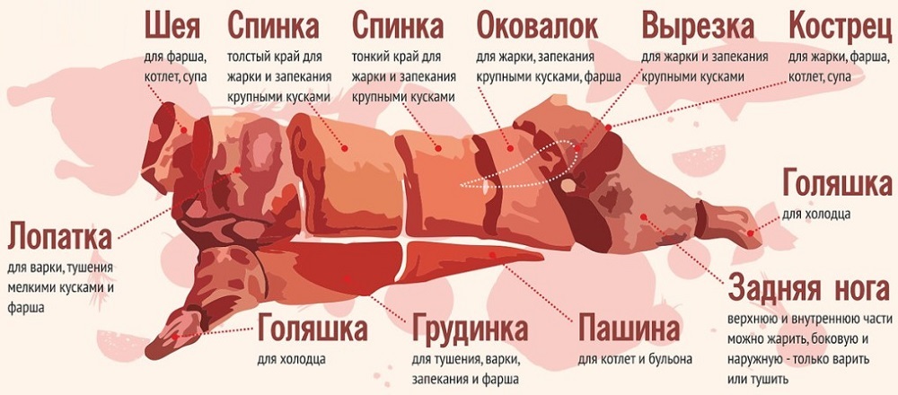 Названия частей свиньи
