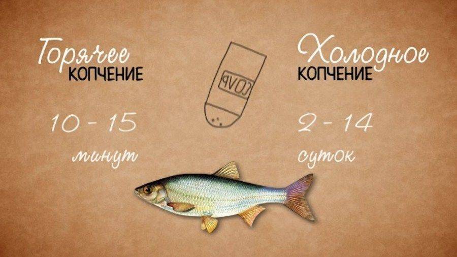 Отличие горячего копчения от холодного