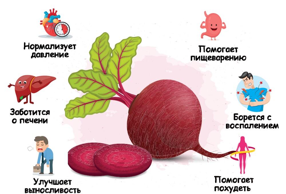Полезные свойства свеклы