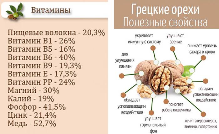 Польза грецких орехов