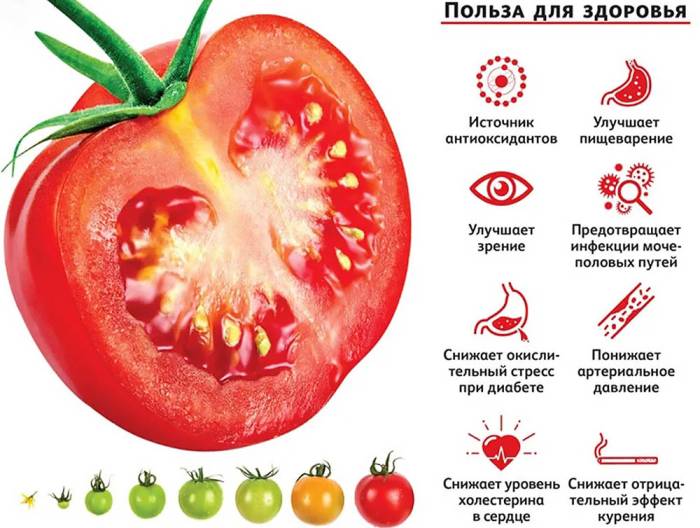 Помидоры и польза