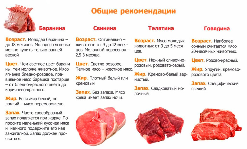 рекомендации по выбору мяса