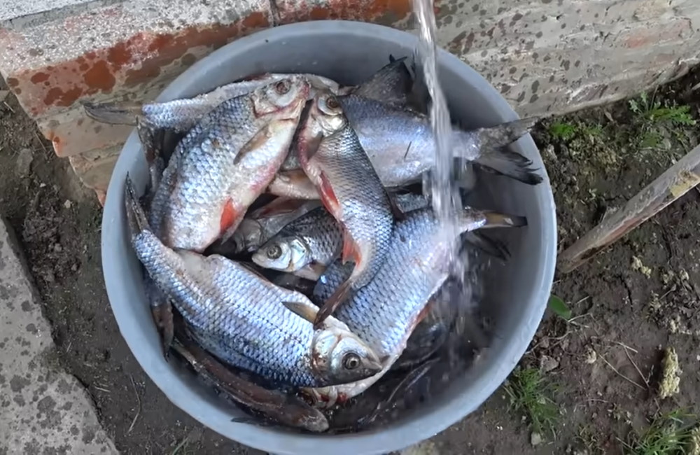 Рыбу заливают водой
