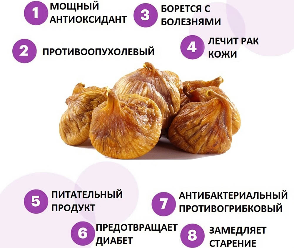 Сушёный инжир и польза