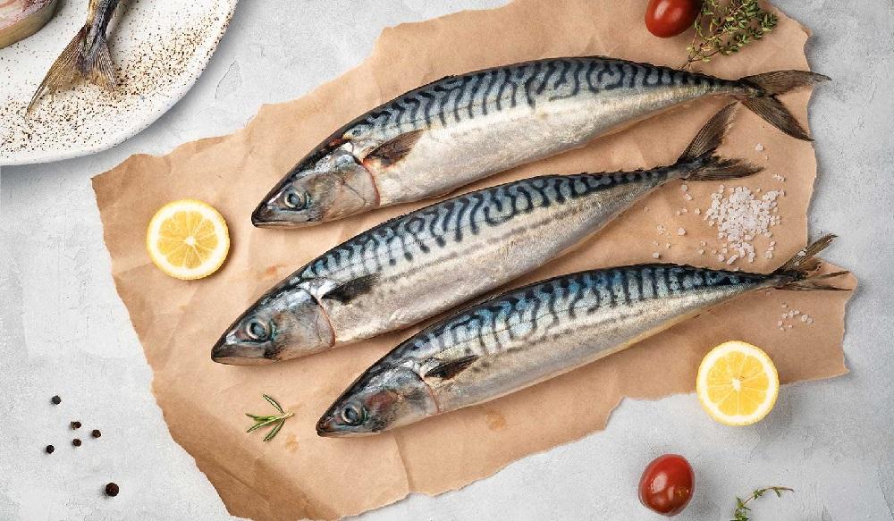 Свежая атлантическая скумбрия