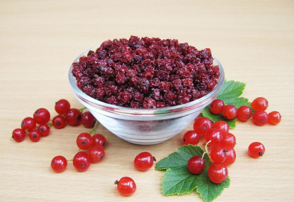 Свежая и сухая красная смородина