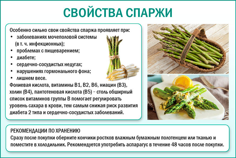 Свойства спаржи