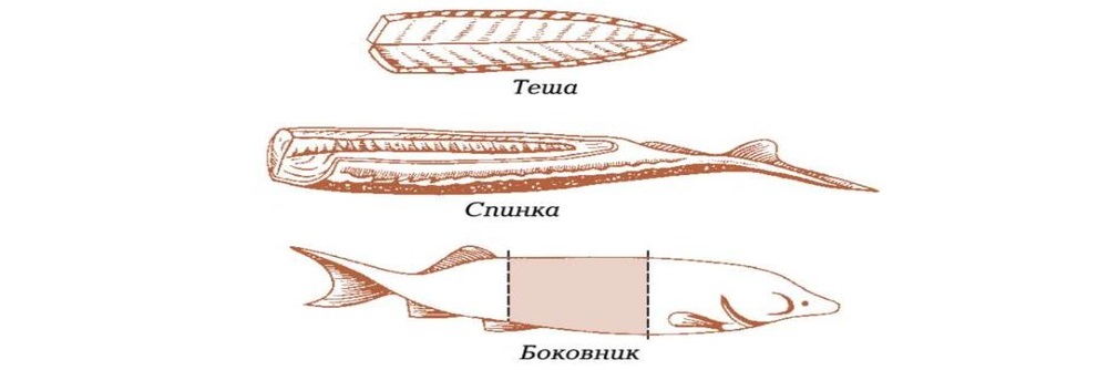Виды разделки рыбы