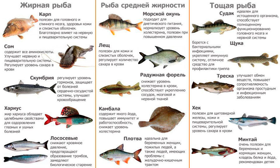 Виды рыб