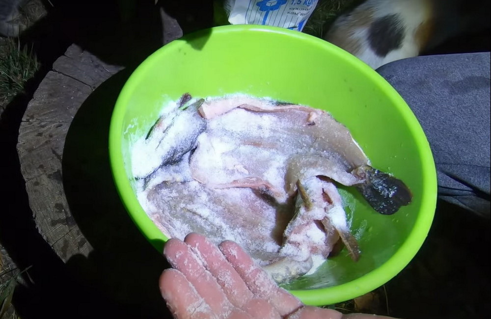 В зеленом тазу засаливают рыбу