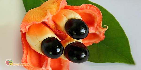 Аки