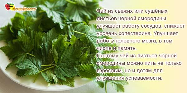 Чай из листьев смородины черной