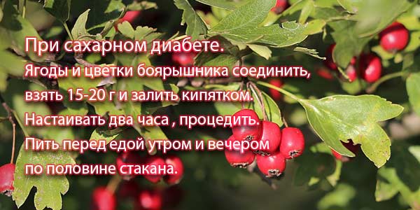 Диабетикам 
