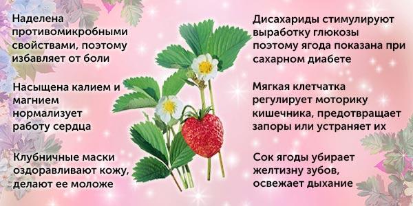 Лечебные-свойства-земляники