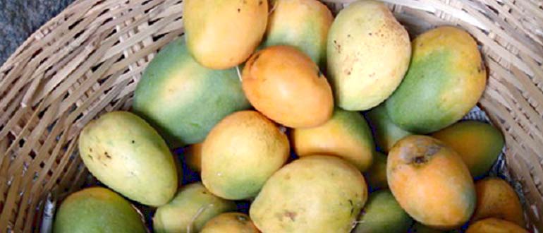 Banganapalli