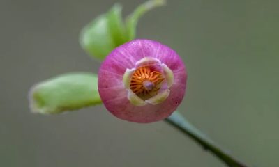 фото 14219_4