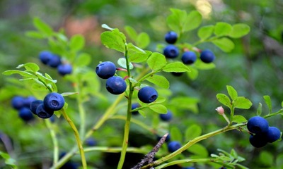 фото 14414_2