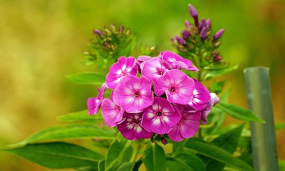 фото 14927_5