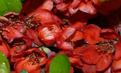 фото 8929_6