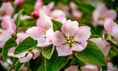 фото 9030_2