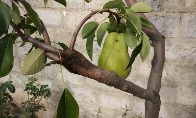 фото 9103_4