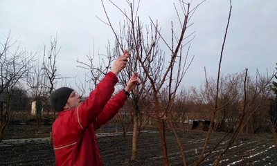 foto10242-2 (7)