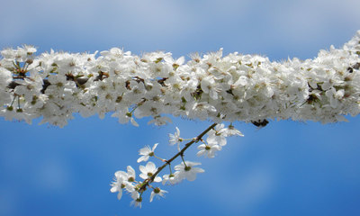 foto10519-2 (8)