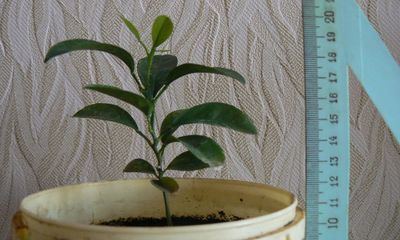 foto8807-1 (1)