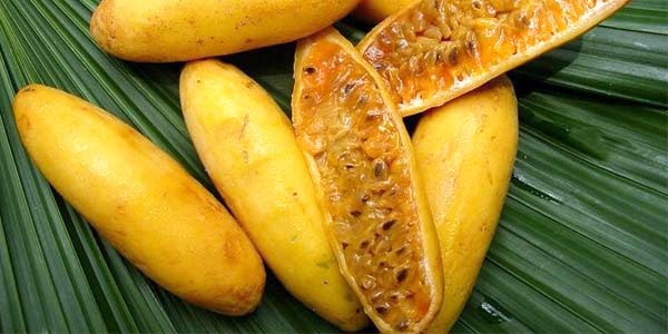 куруба